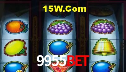 Experimente o Login Seguro Premium no 9955Bet